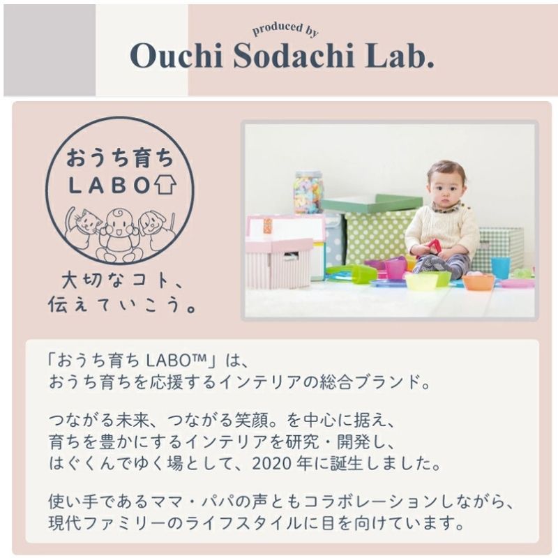 子どもの睡眠環境を考えた 安眠マットレス 薄型・軽量・高通気 ジュニア ポケットコイル EVA エヴァ