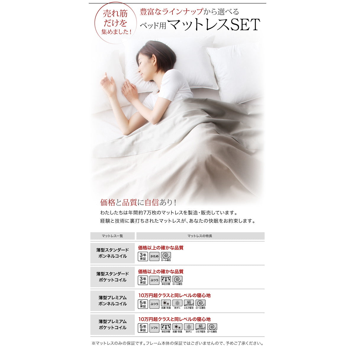 衣装ケースも入る大容量デザイン収納ベッド SCHNEE シュネー