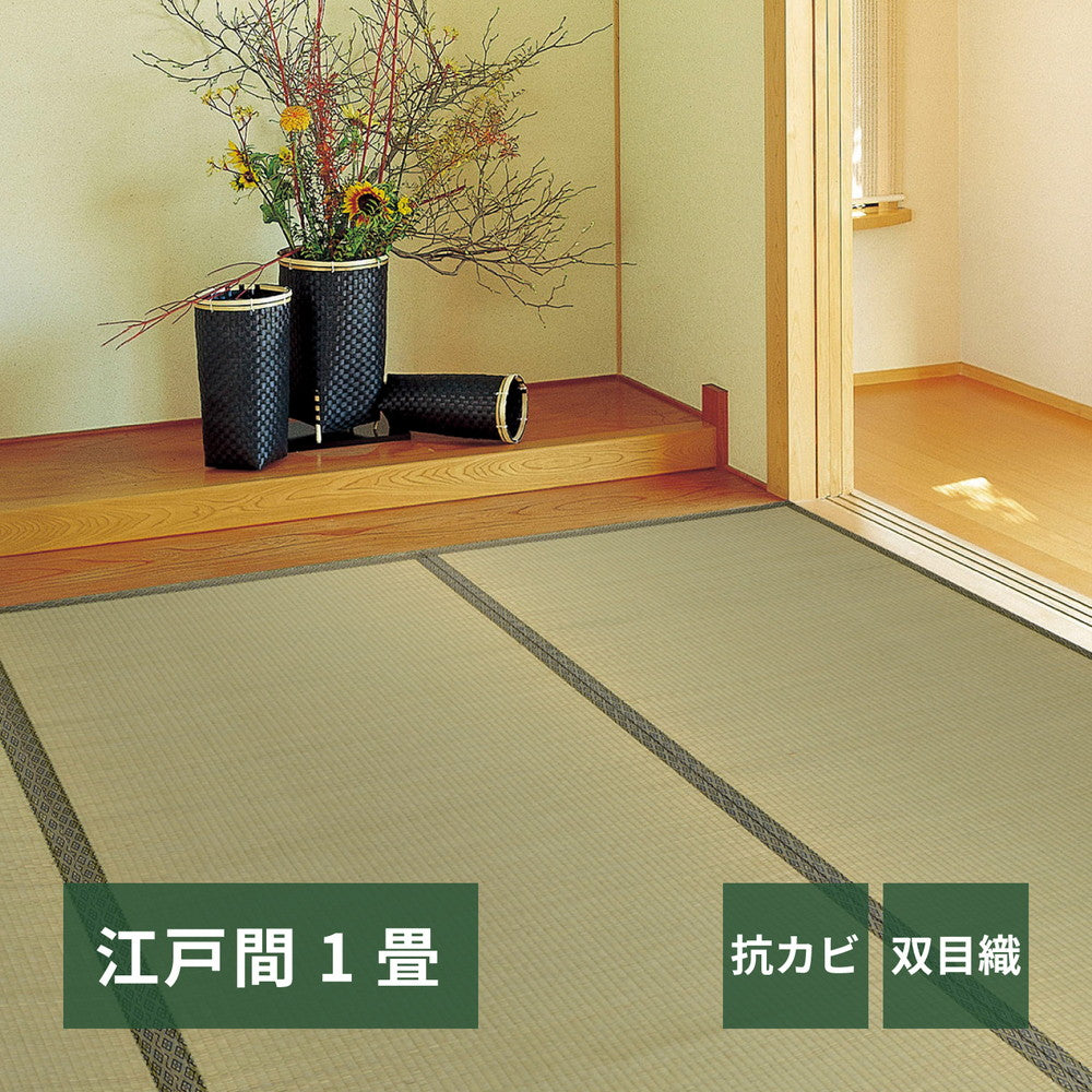い草カーペット 柳川(やながわ) 江戸間 6帖(261×352) ラグ・マットカラー グリーン