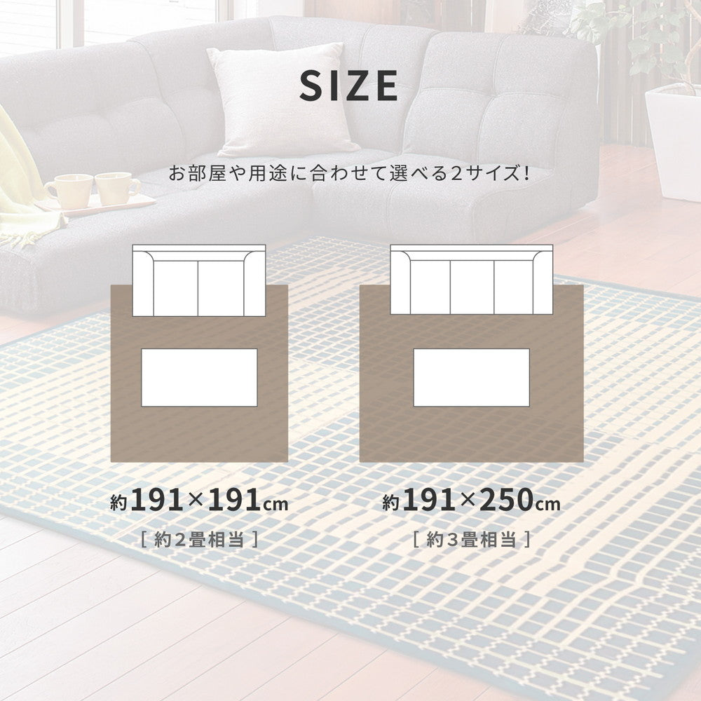 国産い草ラグ(裏貼り) 右京(うきょう)