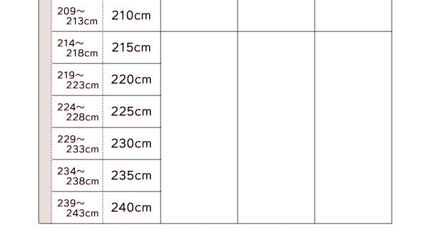 20色×54サイズから選べる防炎・1級遮光カーテン 幅100cm(2枚) mine マイン