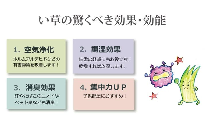 純国産 い草 上敷き はっ水 カーペット 双目織