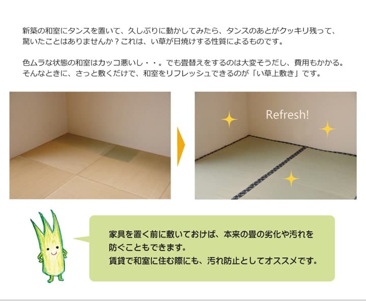 純国産 い草 上敷き はっ水 カーペット 双目織