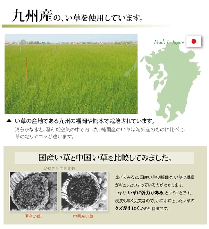 純国産 い草 上敷き はっ水 カーペット 双目織