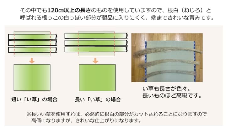 純国産 い草 上敷き はっ水 カーペット 双目織
