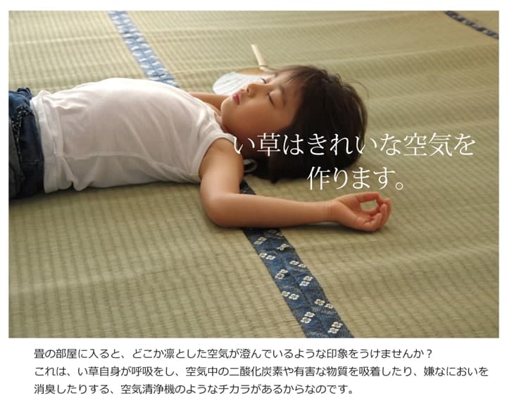 純国産 い草 上敷き はっ水 カーペット 双目織