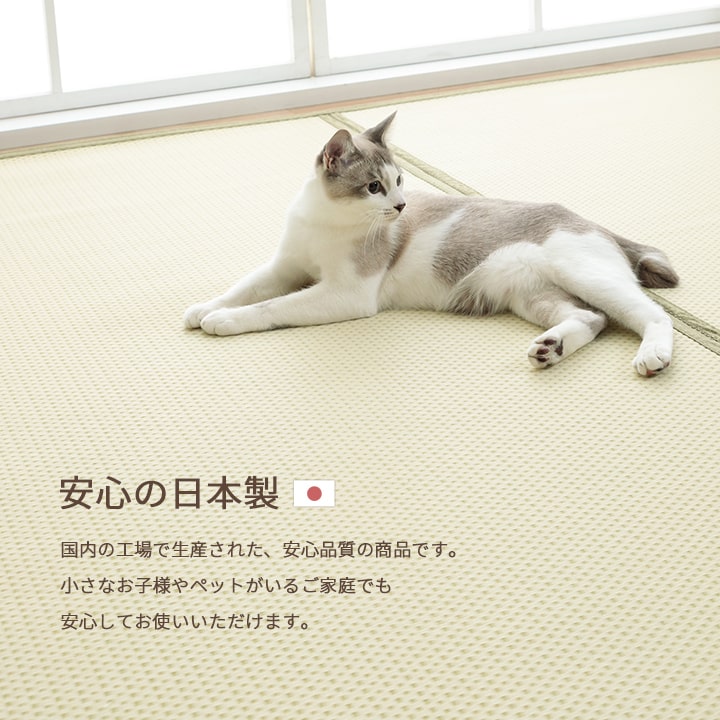 洗える ござ 日本製 国産 カーペット リバーシブル