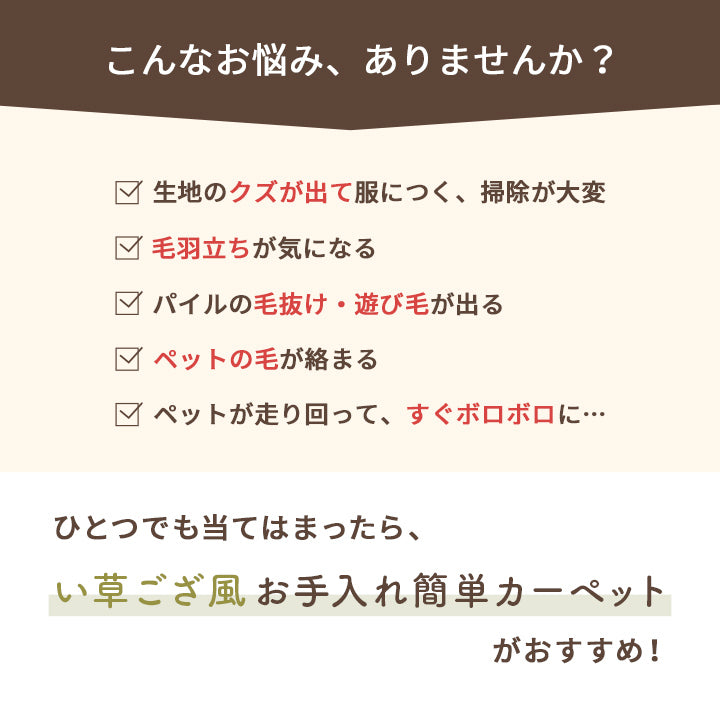 洗える ござ 日本製 国産 カーペット リバーシブル