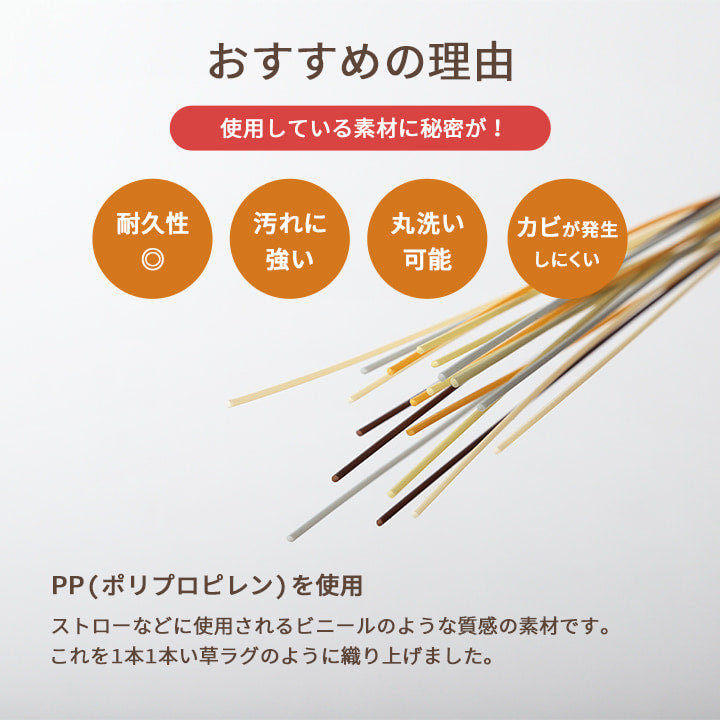 洗える ござ 日本製 国産 カーペット リバーシブル
