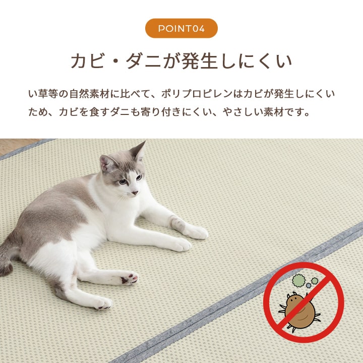 洗える ござ 日本製 国産 カーペット リバーシブル