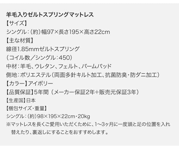 棚・コンセント付き国産大型サイズ頑丈跳ね上げ収納ベッド ナヴァル Naval