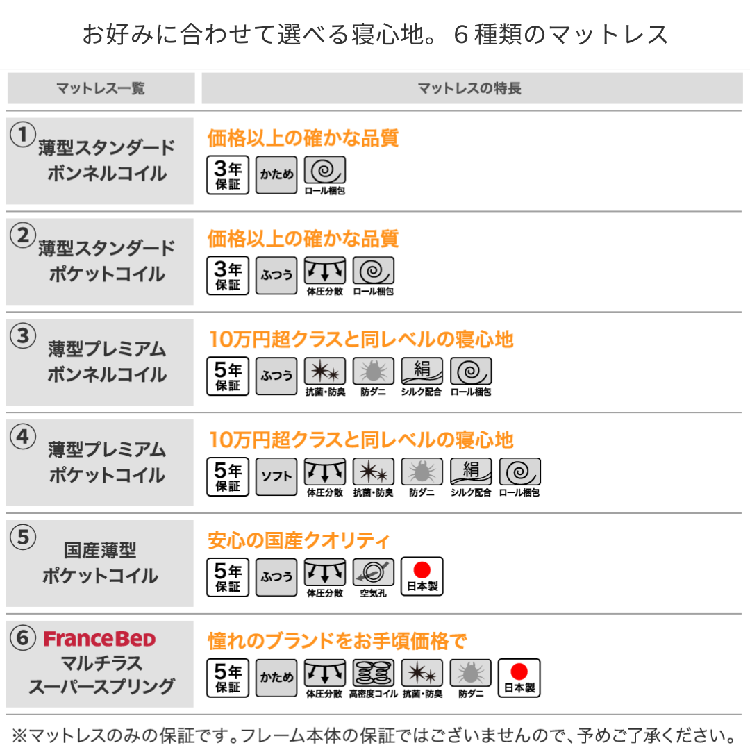 棚・コンセント付国産大型サイズ跳ね上げ収納ベッド Landelutz ランデルッツ