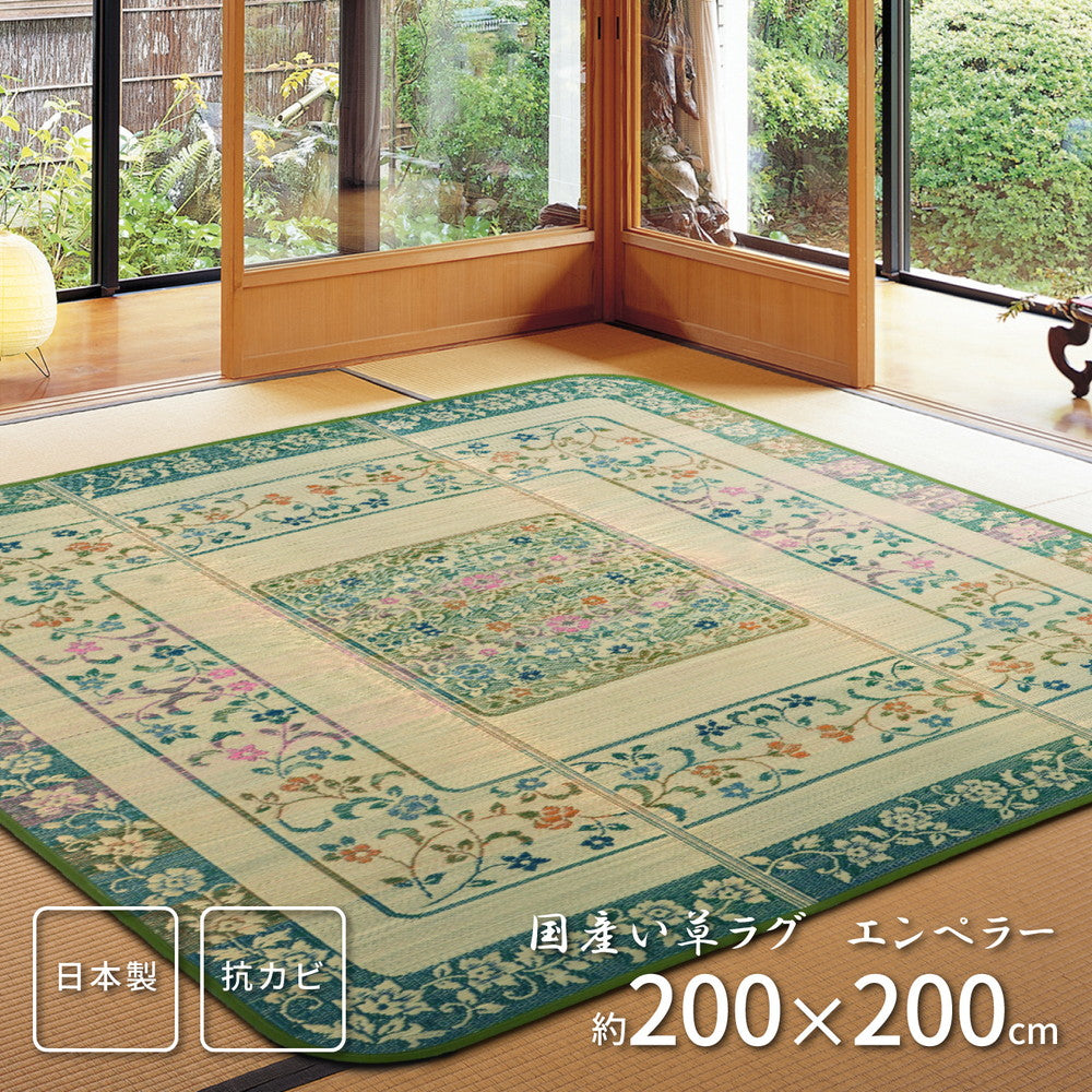 国産い草ラグ（裏貼り） エンペラー 200×200cm ラグ・マットカラー グリーン