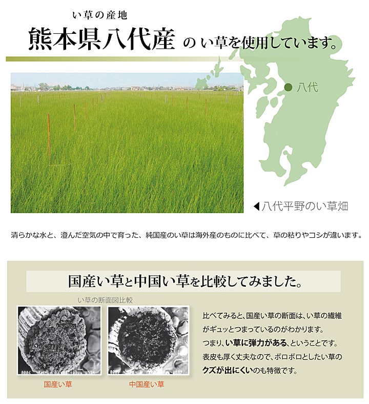 純国産 い草 上敷き カーペット 市松織　不知火