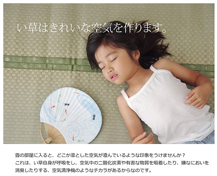 純国産 い草 上敷き カーペット 市松織　不知火