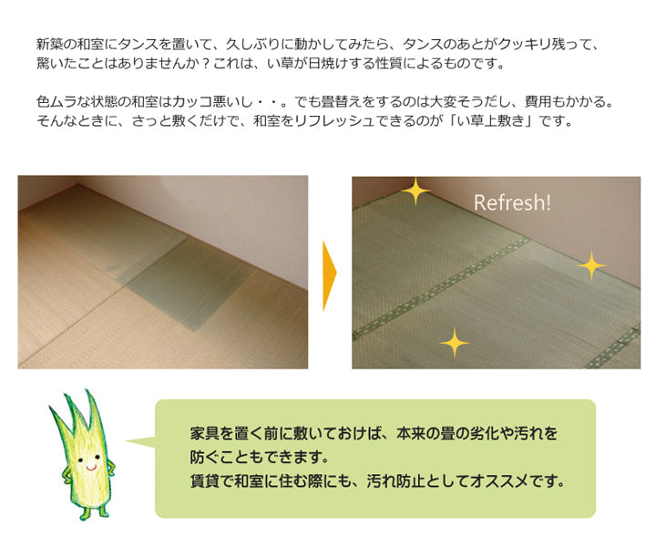 フリーカット い草 上敷き カーペット　F不知火