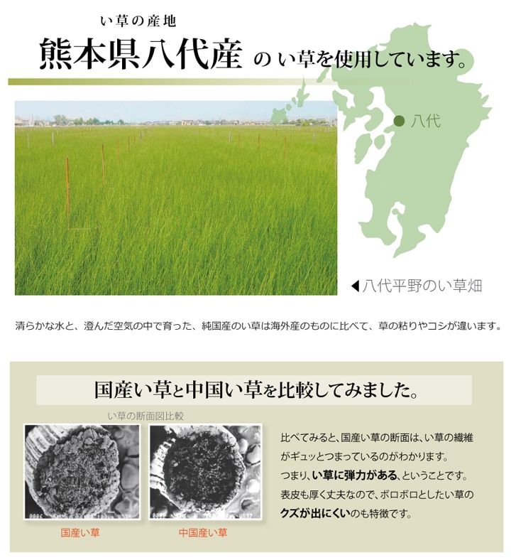 フリーカット い草 上敷き カーペット　F不知火