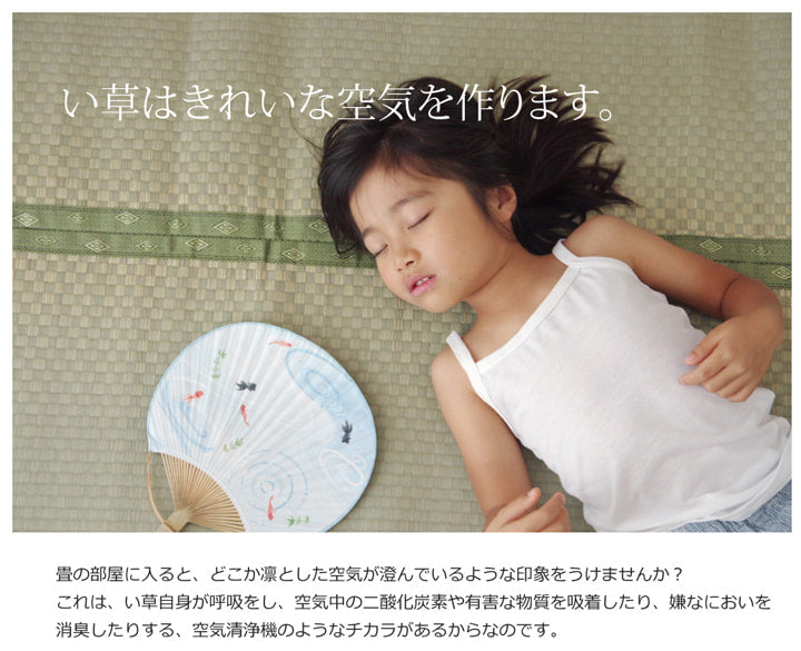 フリーカット い草 上敷き カーペット　F不知火