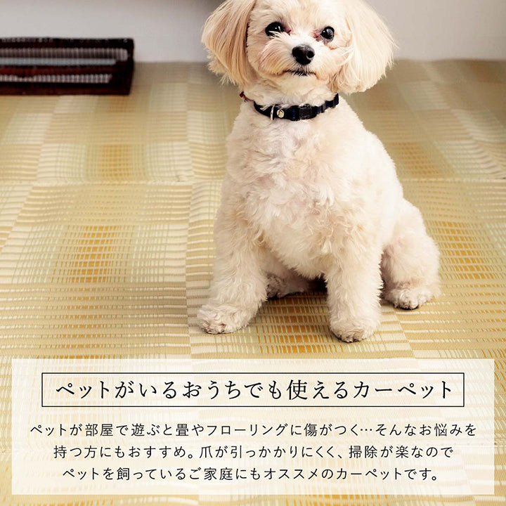 洗える ござ 日本製 国産 カーペット 丈夫 除菌スプレー対応