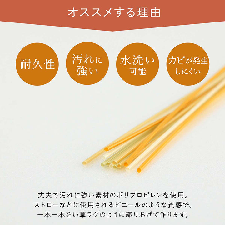 洗える ござ 日本製 国産 カーペット 丈夫 除菌スプレー対応