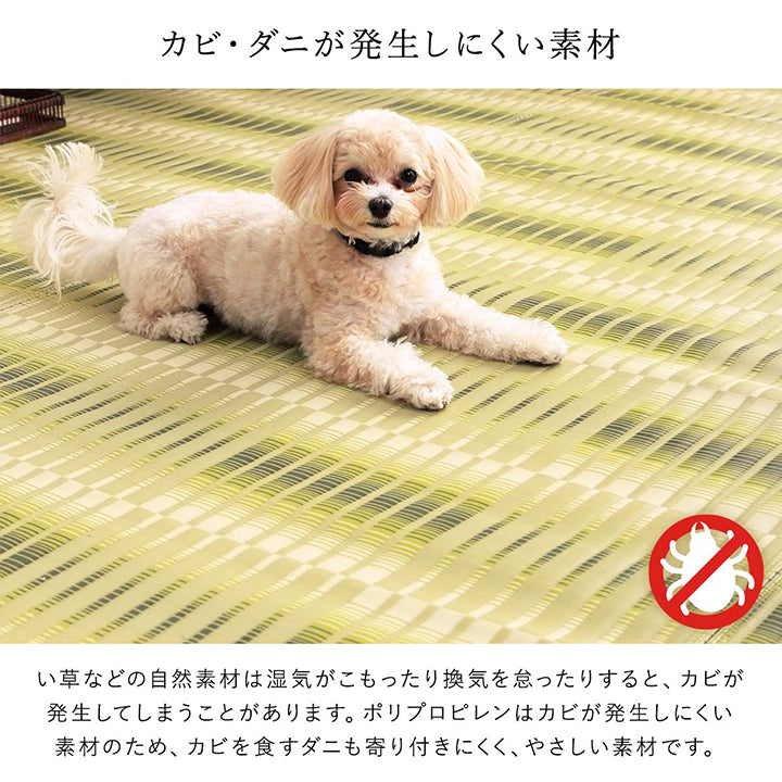 洗える ござ 日本製 国産 カーペット 丈夫 除菌スプレー対応