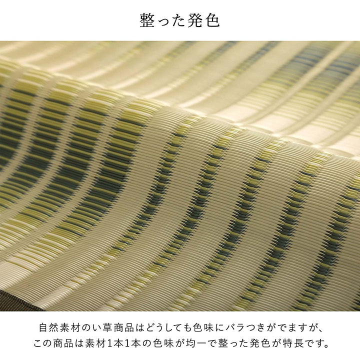洗える ござ 日本製 国産 カーペット 丈夫 除菌スプレー対応