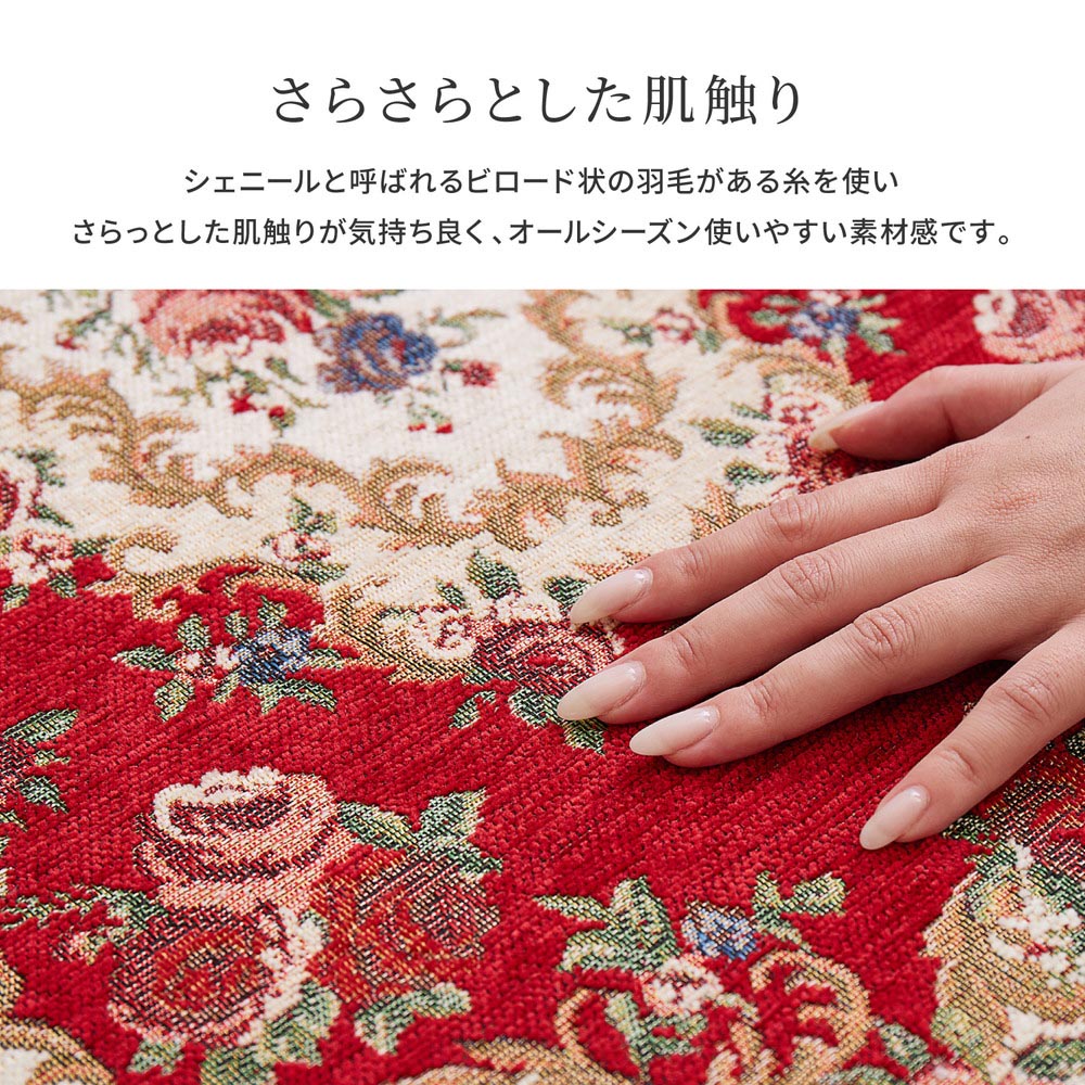ゴブラン織り玄関マット　ザイン