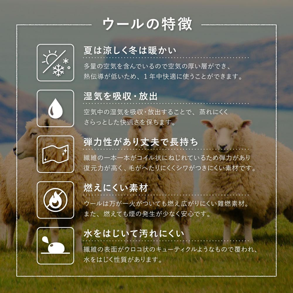 ギャッベ　ラグ　悠花（ユウカ）