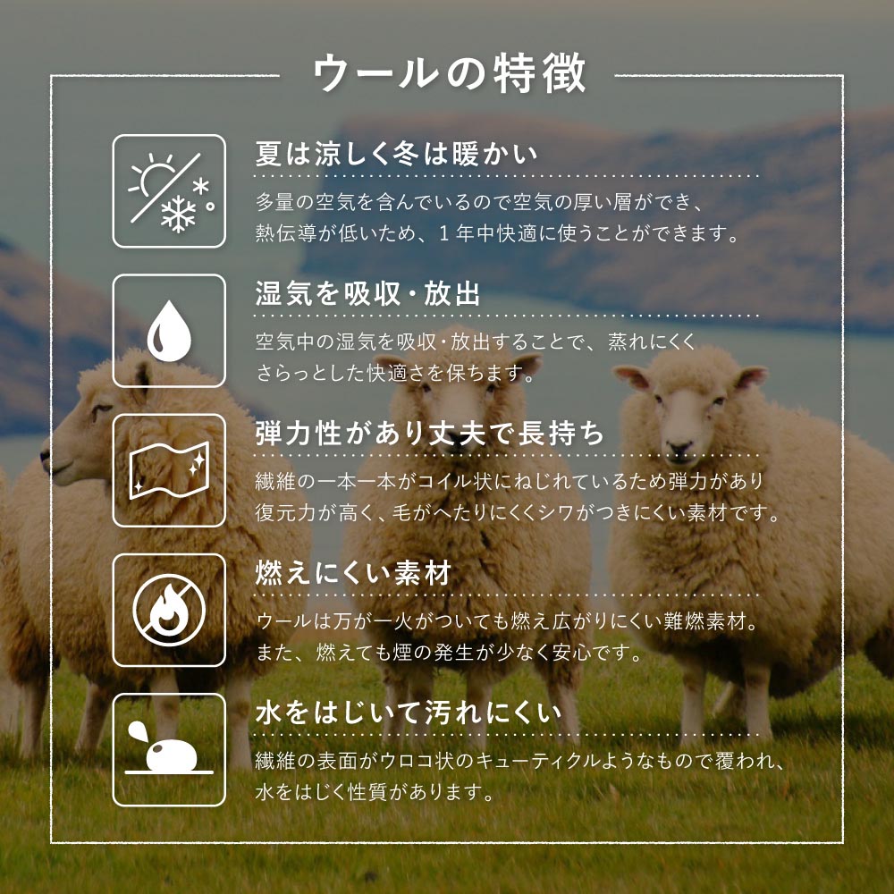 ウールチェアパッド　dotto（ドット）