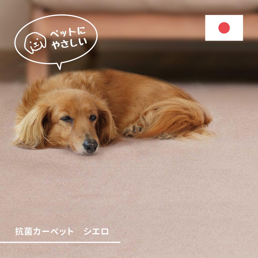 抗菌カーペット　シエロ
