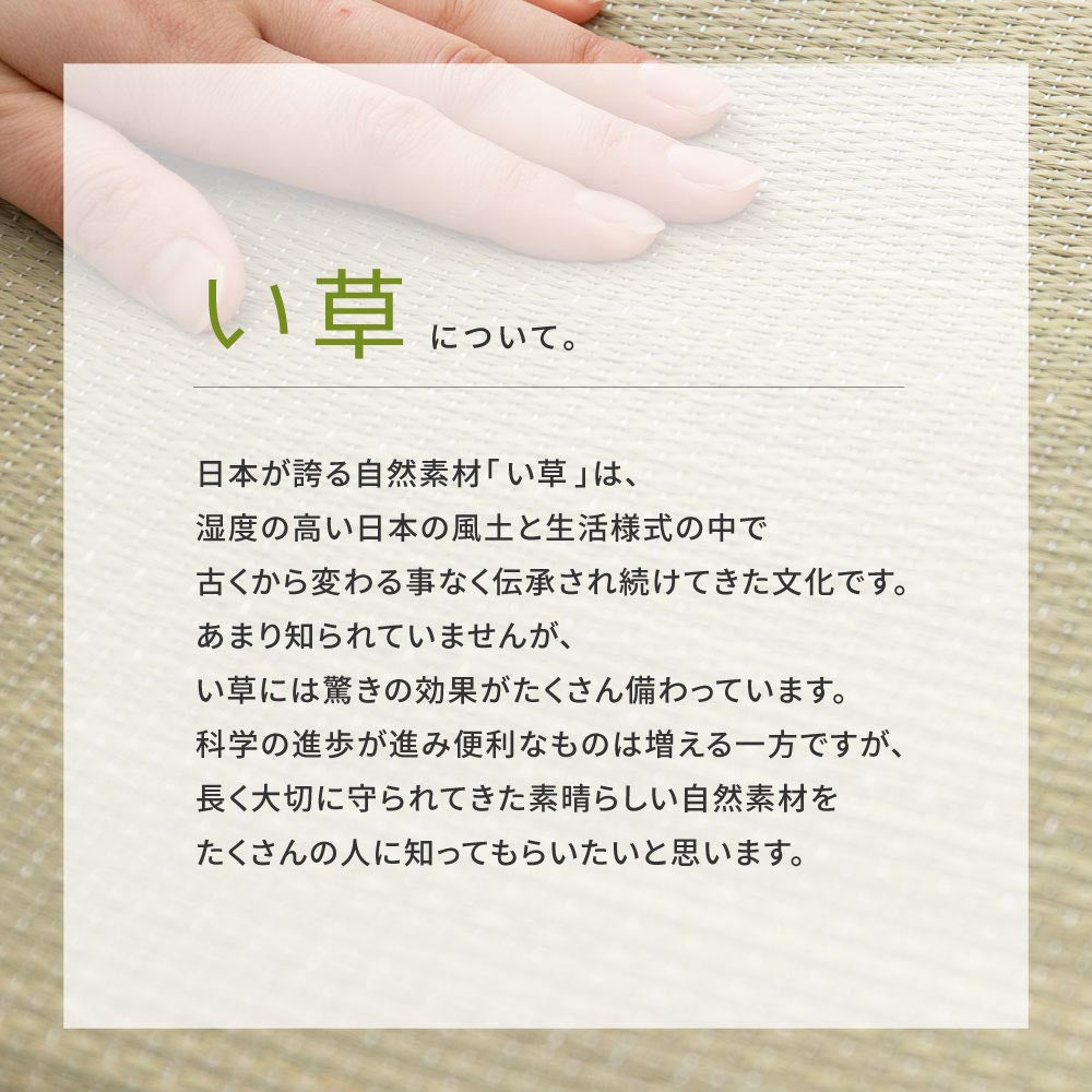 国産い草スリッパ　ハピネコ